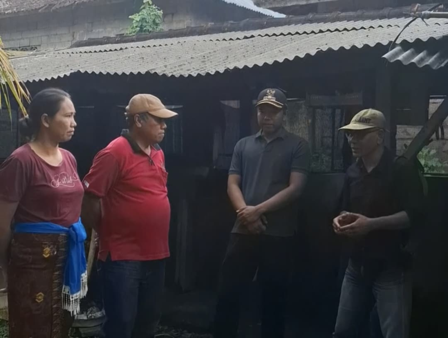 Monitoring Program Ketahanan Pangan BUMDesa Panca Sadhu Desa Kuwum bertempat di kandang babi milik warga Banjar Dinas Kuwum Tegallinggah, Desa Kuwum, Kecamatan Marga, Kabupaten Tabanan